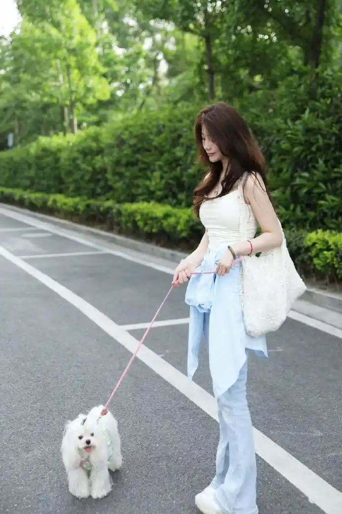 我要下载网数据图示